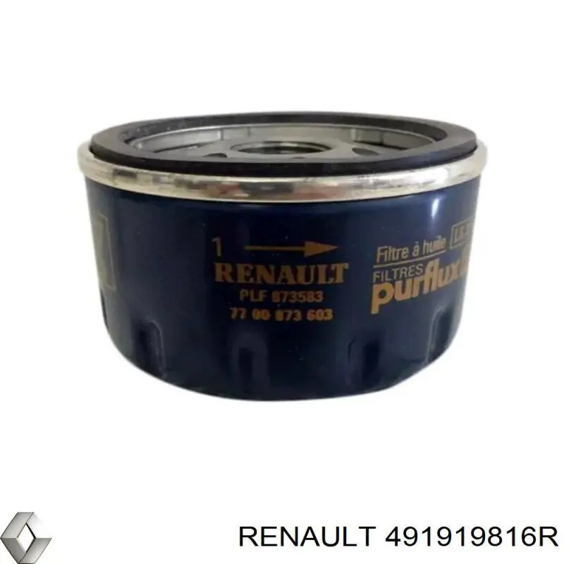 491919816R Renault (RVI) 