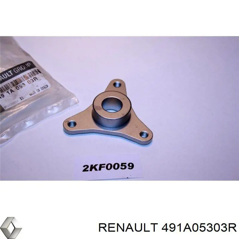 491A05303R Renault (RVI) cubo da polia de bomba de impulsionador hidráulico (direção hidrâulica assistida)