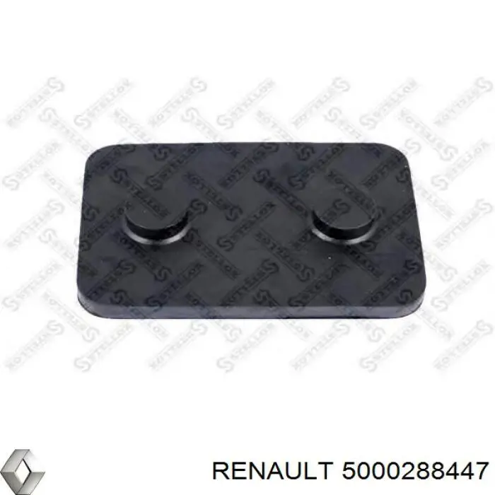  5000288447 Renault (RVI)