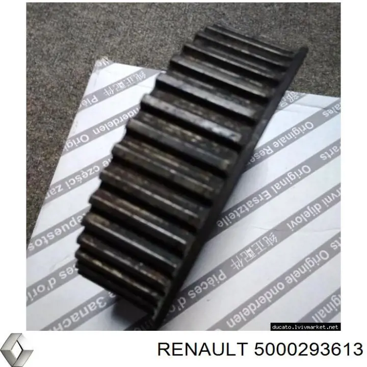  5000293613 Renault (RVI)