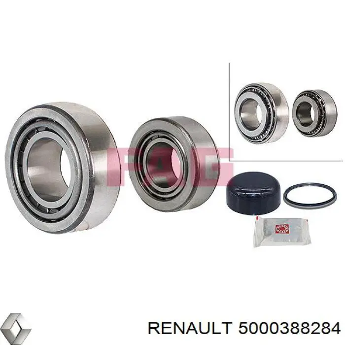 Cojinete de rueda delantero 5000388284 Renault (RVI)