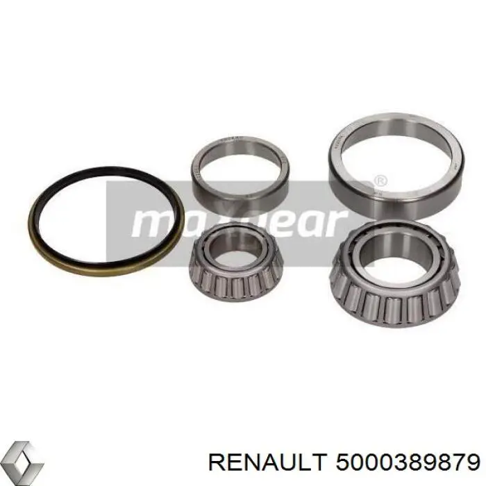 5000389879 Renault (RVI)