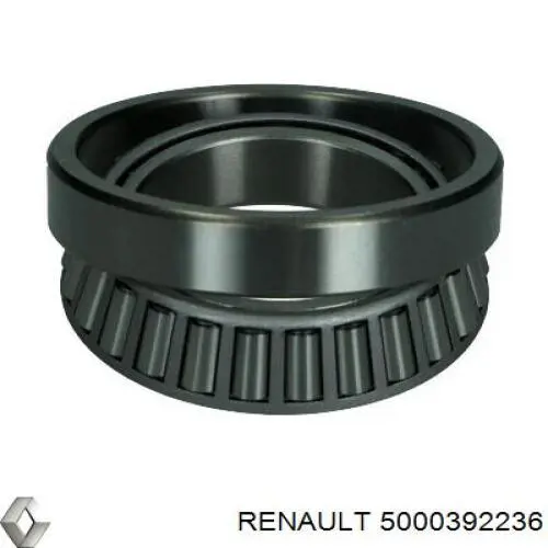 Подшипник ступицы 5000392236 Renault (RVI)