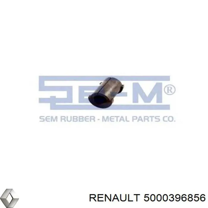  5000396856 Renault (RVI)