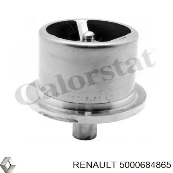  5000684865 Renault (RVI)