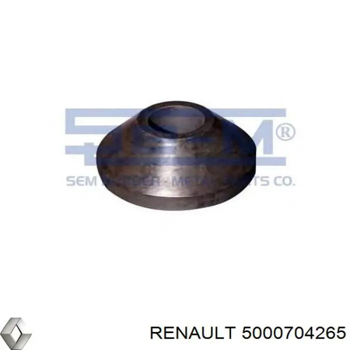  5000704265 Renault (RVI)