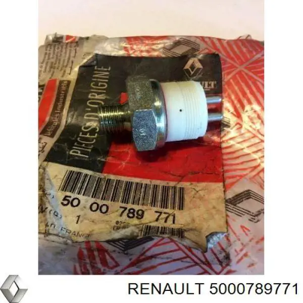  5000789771 Renault (RVI)