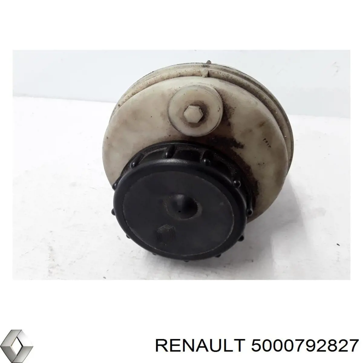 5000792827 Renault (RVI) 