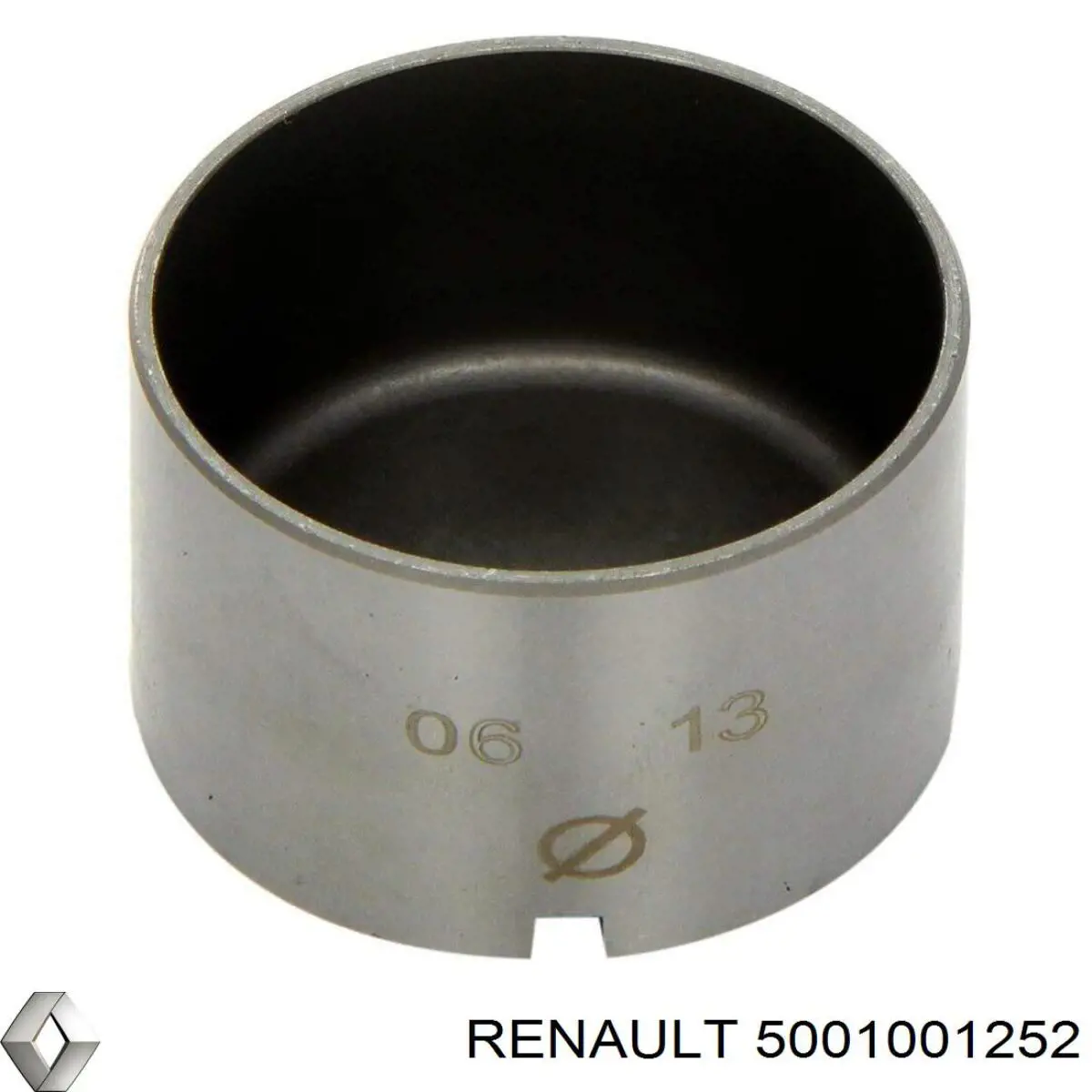 5001001252 Renault (RVI) 