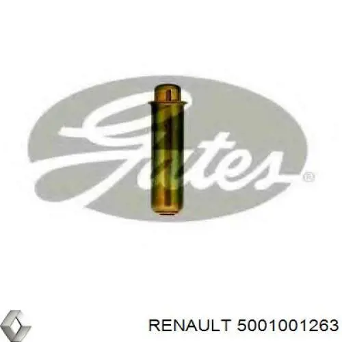 5001001263 Renault (RVI) натяжитель ремня грм