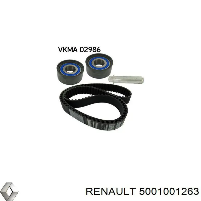 Натяжитель ремня ГРМ 5001001263 Renault (RVI)