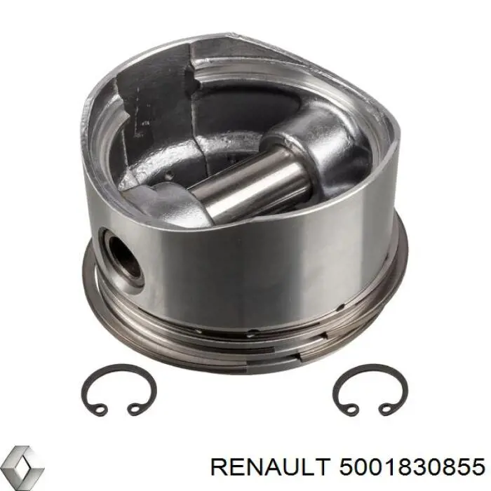 Компрессор пневмосистемы (TRUCK) 5001830855 Renault (RVI)