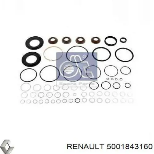  5001843160 Renault (RVI)