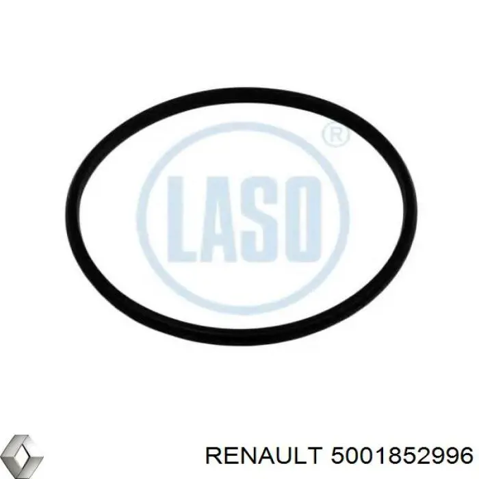  5001852996 Renault (RVI)