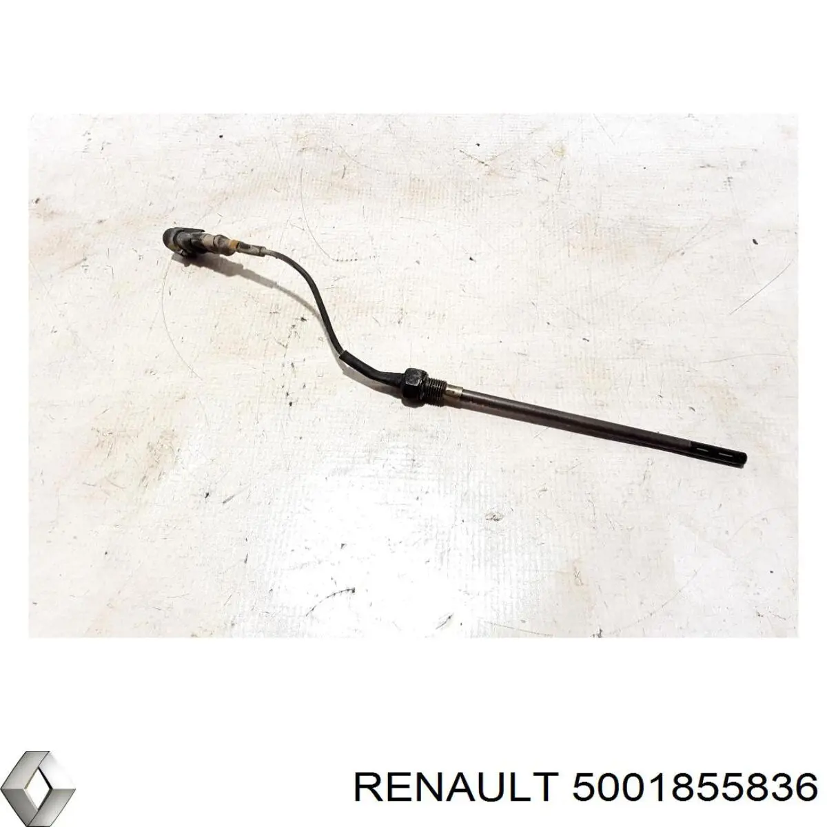 5001855836 Renault (RVI) 