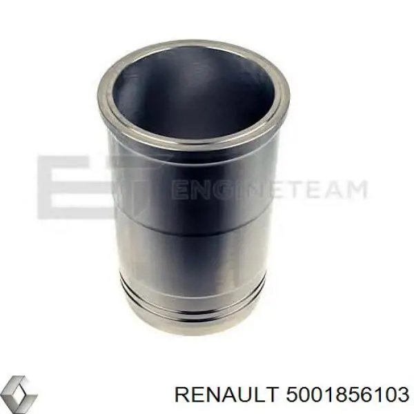  5001856103 Renault (RVI)