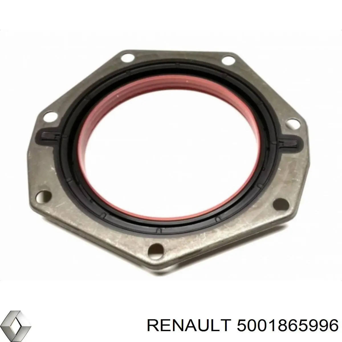  5001865996 Renault (RVI)