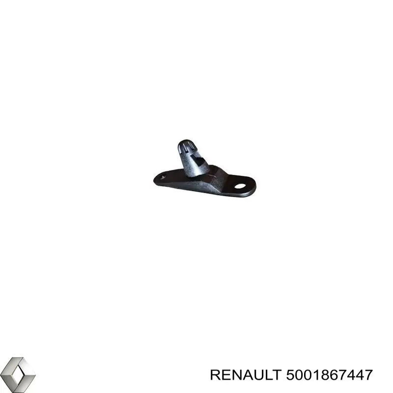  5001867447 Renault (RVI)