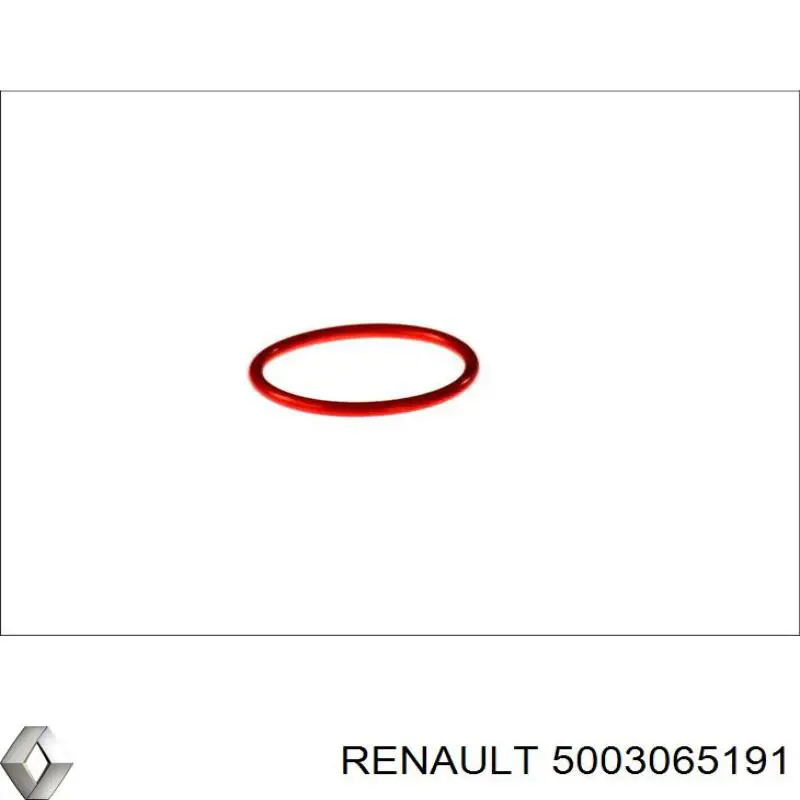 Купить 5003065191 Renault (RVI) Шайба форсунки