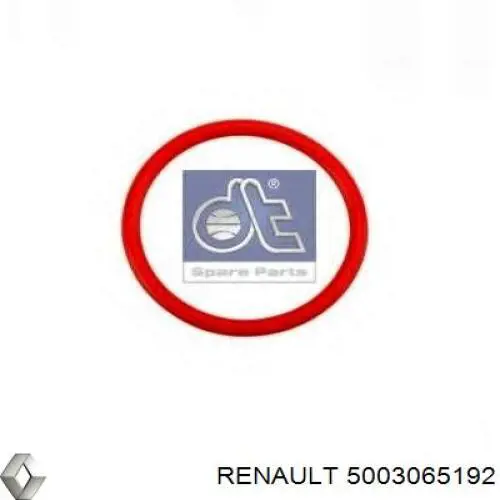 Кольцо (шайба) форсунки инжектора посадочное Renault (RVI) 5003065192