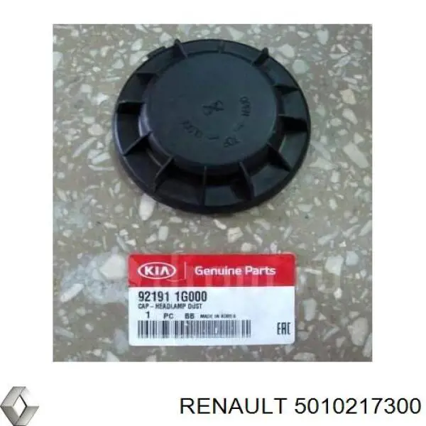  5010217300 Renault (RVI)