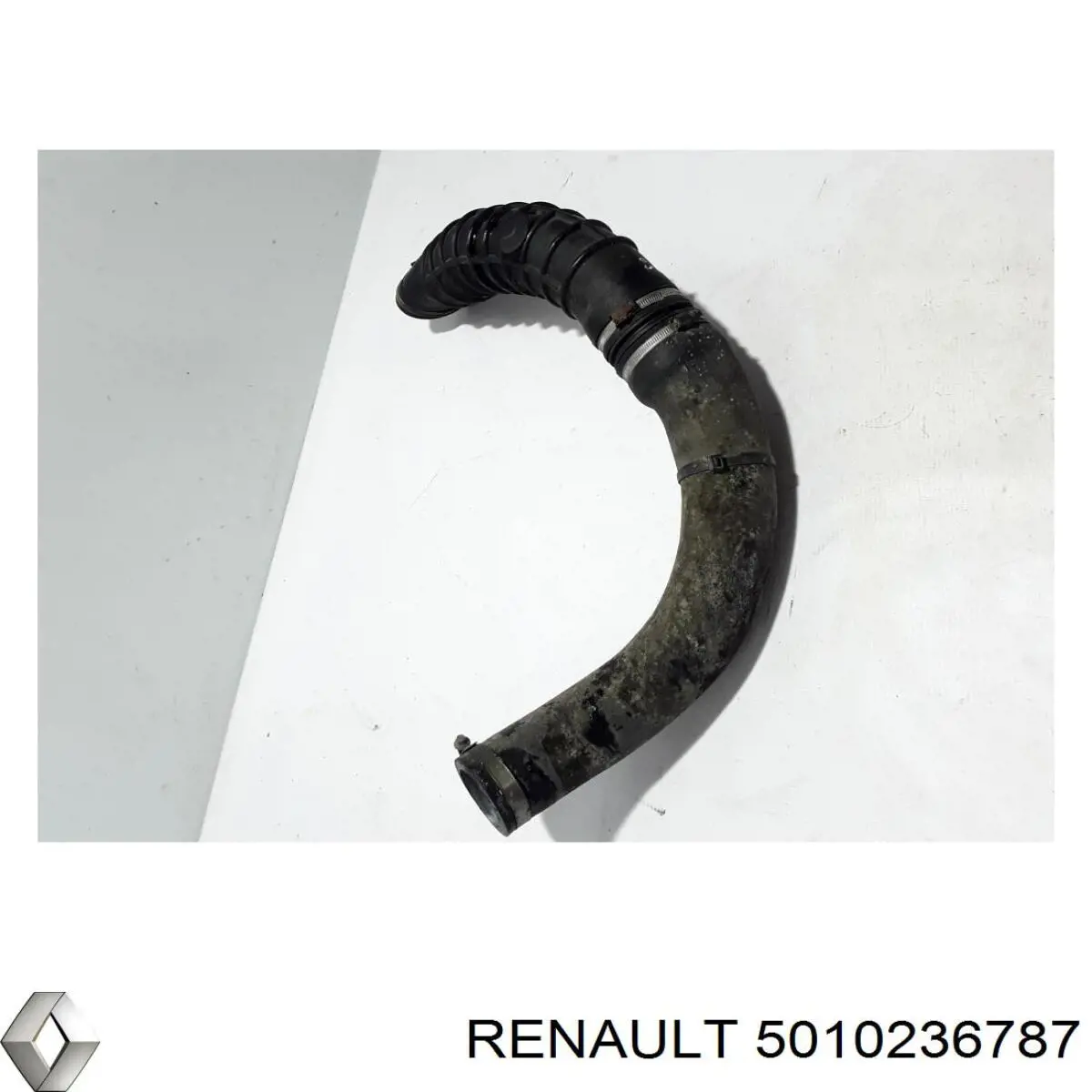  5010236787 Renault (RVI)