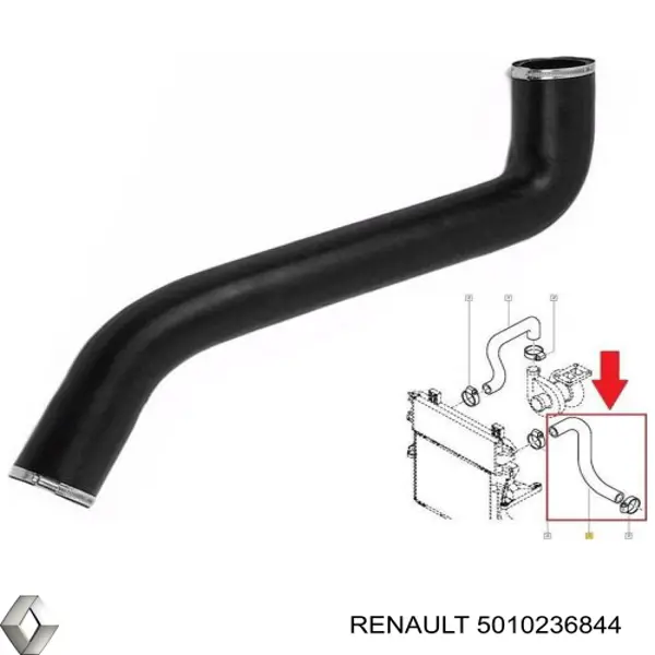 5010236844 Renault (RVI) 