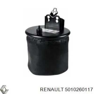 5010260117 Renault (RVI) Трещетка тормозная заднего моста