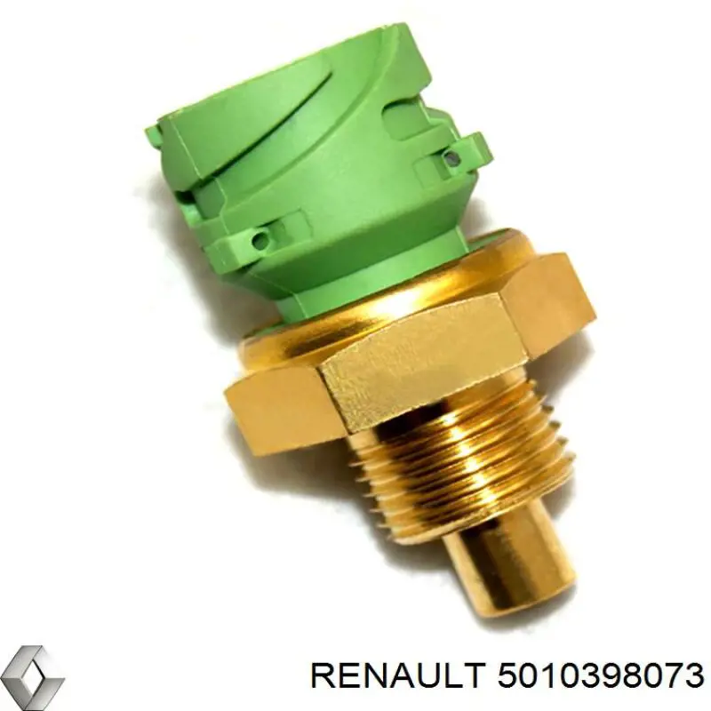 5010398073 Renault (RVI) 