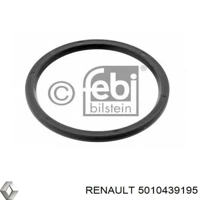  5010439195 Renault (RVI)