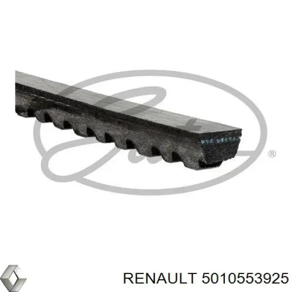 5010553925 Renault (RVI) 