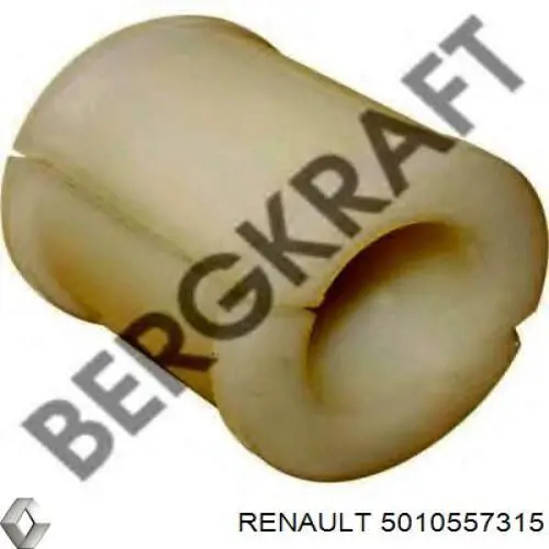  5010557315 Renault (RVI)