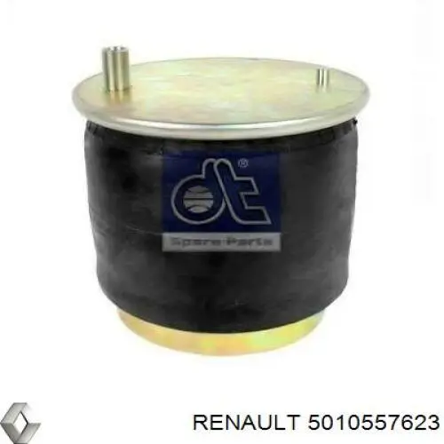 5010557623 Renault (RVI)