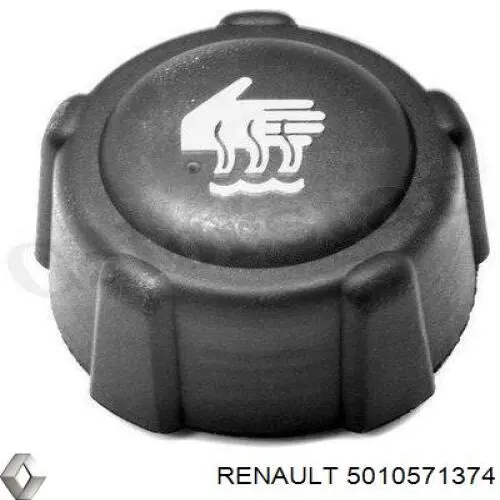 5010571374 Renault (RVI) 