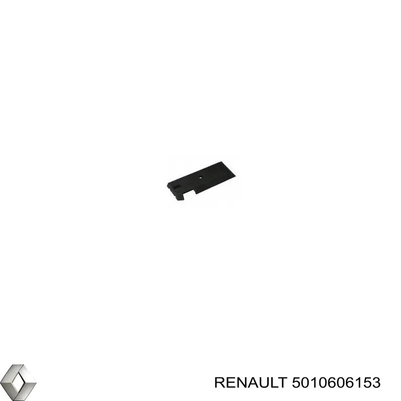  5010606153 Renault (RVI)