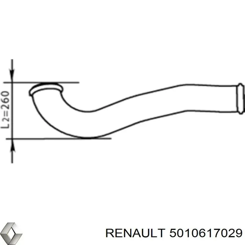 5010617029 Renault (RVI) Глушитель центральный