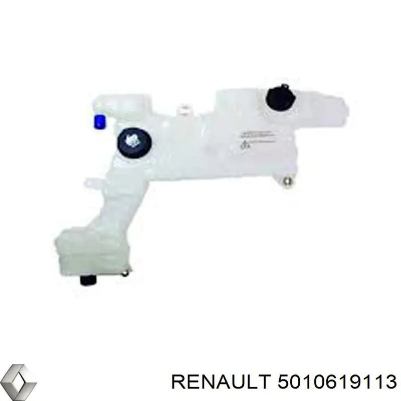 5010619113 Renault (RVI) бачок