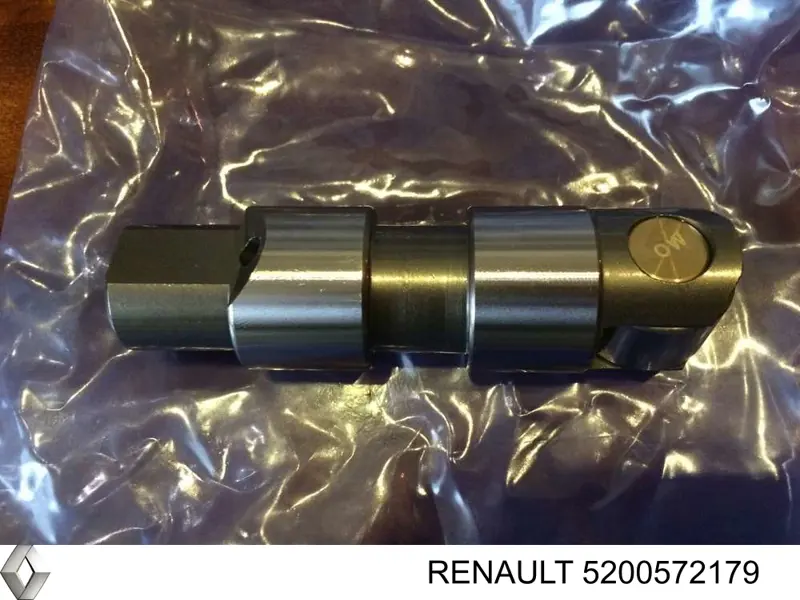Купить 5200572179 Renault (RVI) 