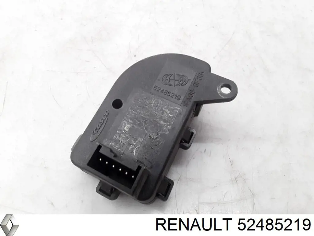  52485219 Renault (RVI)