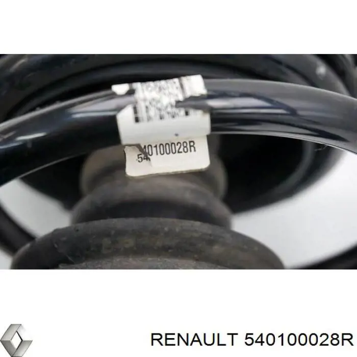 Передняя пружина 540100028R Renault (RVI)