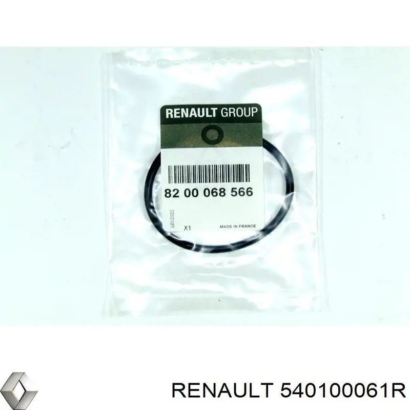 540100061R Renault (RVI) Пружина передней подвески