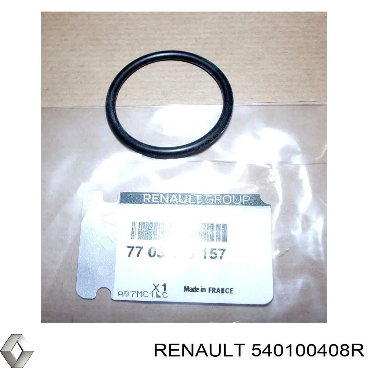 Передняя пружина 540100408R Renault (RVI)