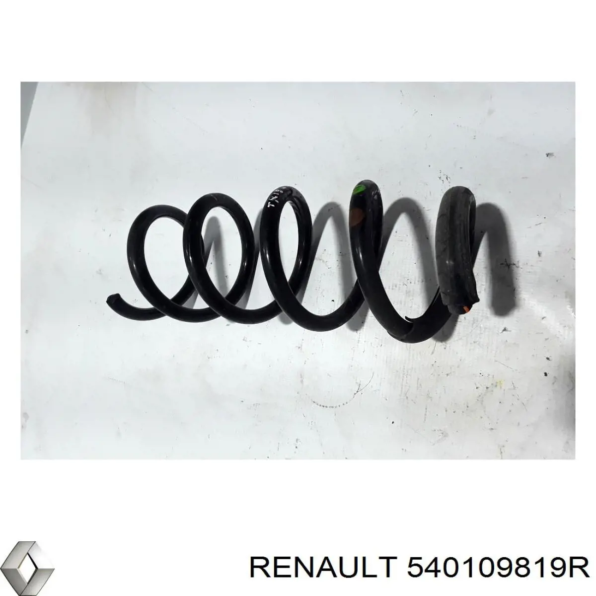 540109819R Renault (RVI)