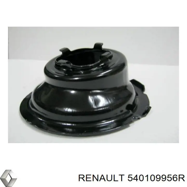 Передняя пружина 540109956R Renault (RVI)