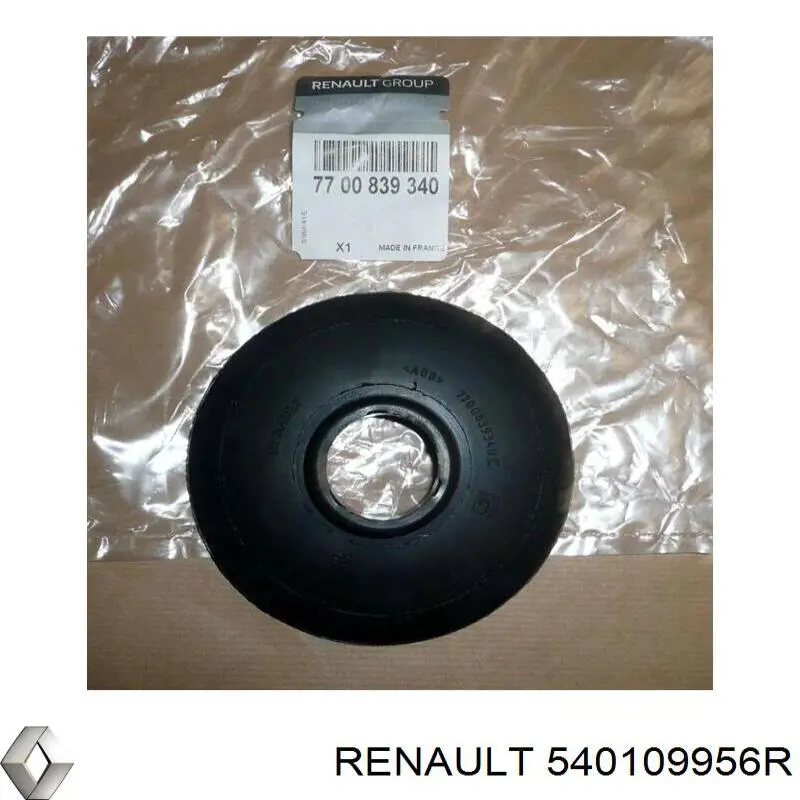 540109956R Renault (RVI)