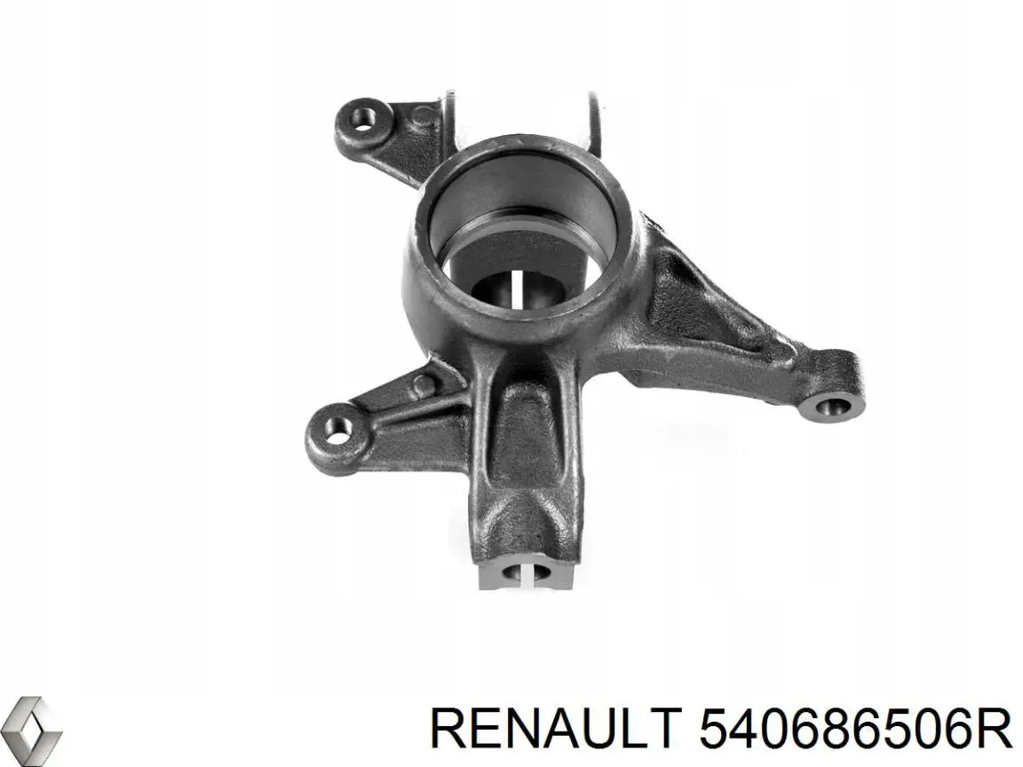 Купить 540686506R Renault (RVI) 