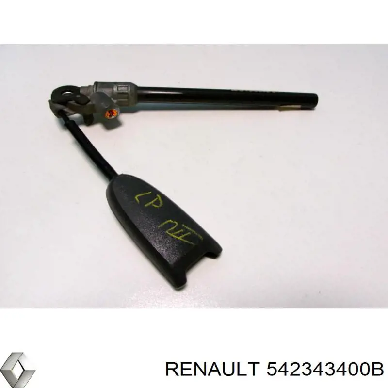 542343400B Renault (RVI) 