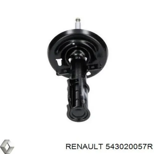 Амортизаторы передние Renault (RVI) 543020057R