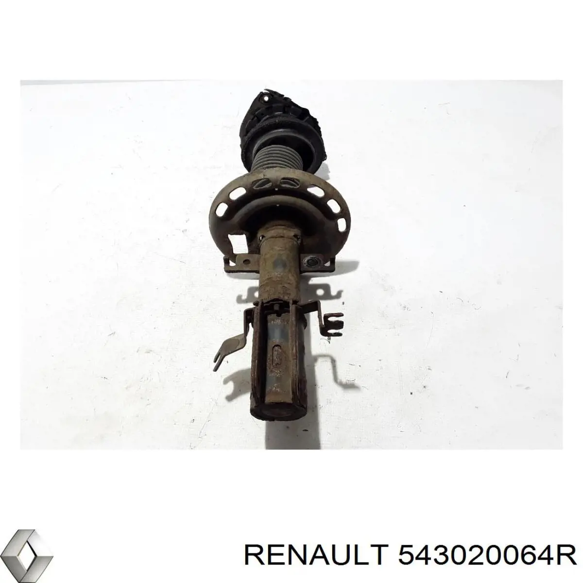 543020064R Renault (RVI) amortecedor dianteiro