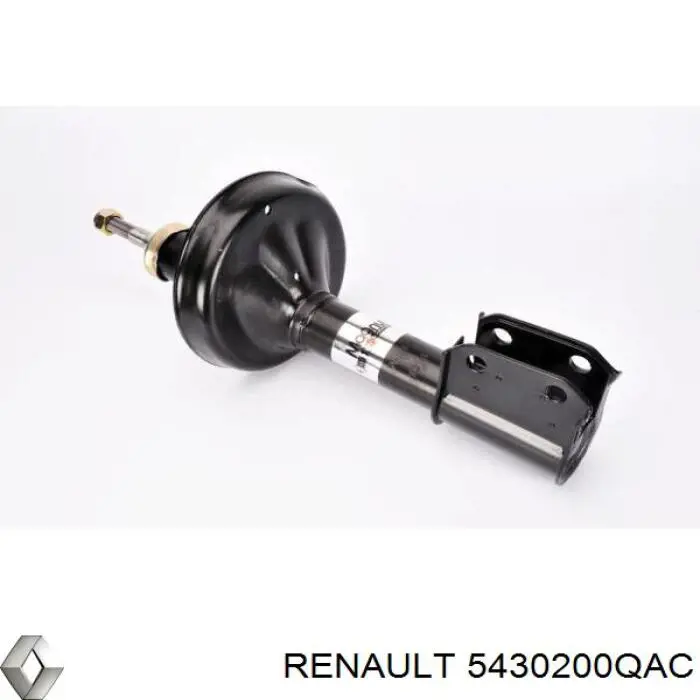 Амортизатор передний 5430200QAC Renault (RVI)